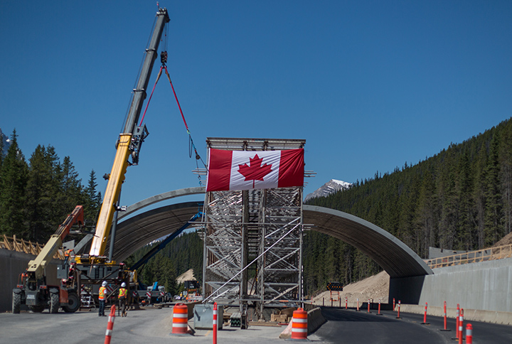 Yoho National Park wildlife crossing