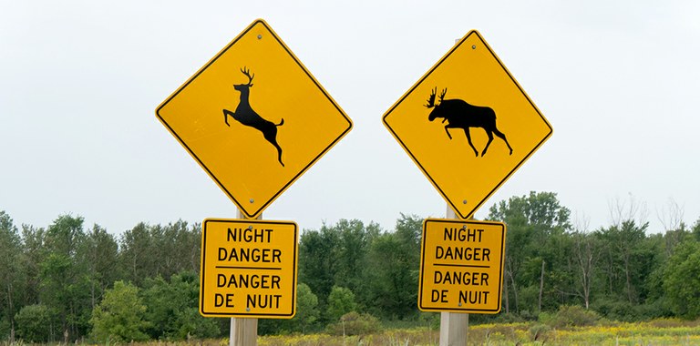wildlife crossing signs