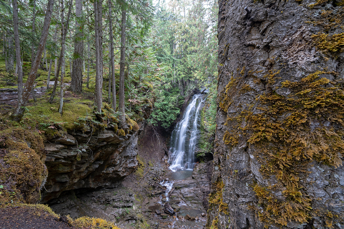 Conservationists congratulate Ktunaxa Nation on Qat’Muk protection ...