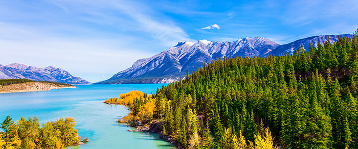 The lake is surrounded by colorful autumn forest. The picturesque Abraham lake in the mountain valley of the Rockies of Canada in the Bighorn region. Abraham Lake | Yellowstone to Yukon Conservation Initiative