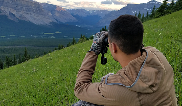 Person looking out at grassy field and mountain vista with binoculars