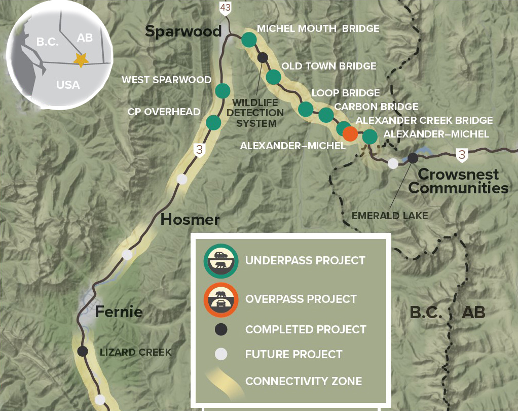 Highway 3 B.C. wildlife crossing projects