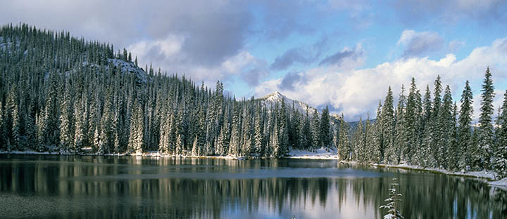 Harvey Locke Lake in Winter