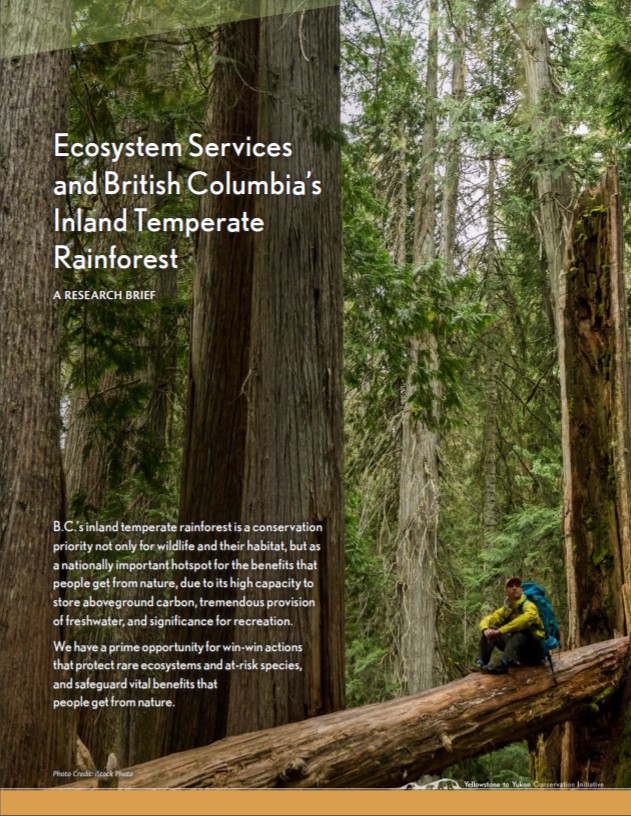 Cover of the briefing for Ecosystems services and British Columbia's Inland Temperate Rainforest