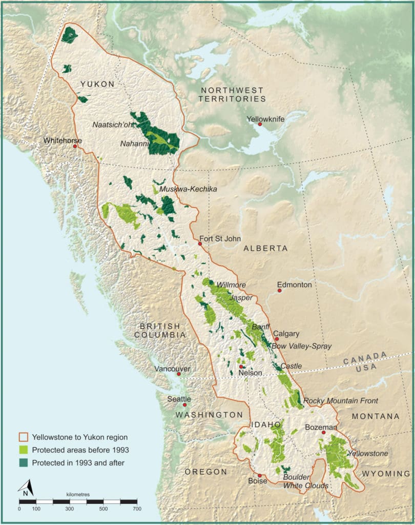 A map showing the Yellowstone to Yukon protected area additions from 1993-2018