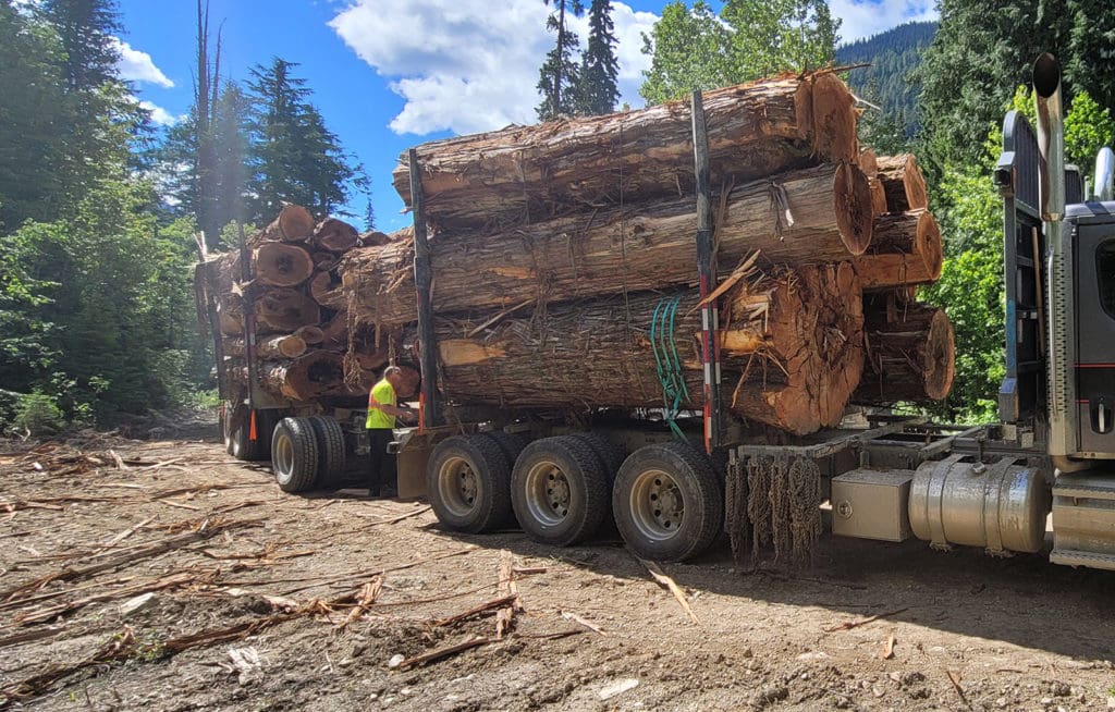 Loading a logging truck up with old growth trees at Argonaut Creek, British Columbia