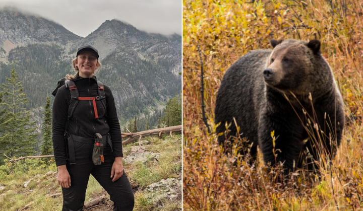 Y2Y U.S. program manager Jessie Grossman hiking and carrying bear spray (left); Grizzly bear in fall foliage (right)