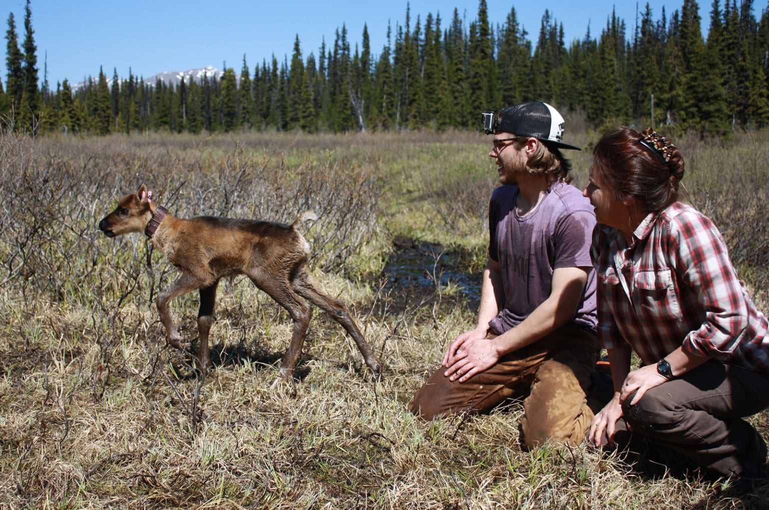 Building a bright future through Indigenous-led conservation ...