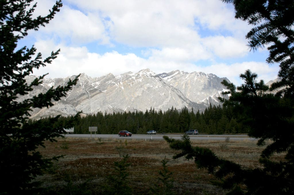 Canmore wildlife crossing construction
