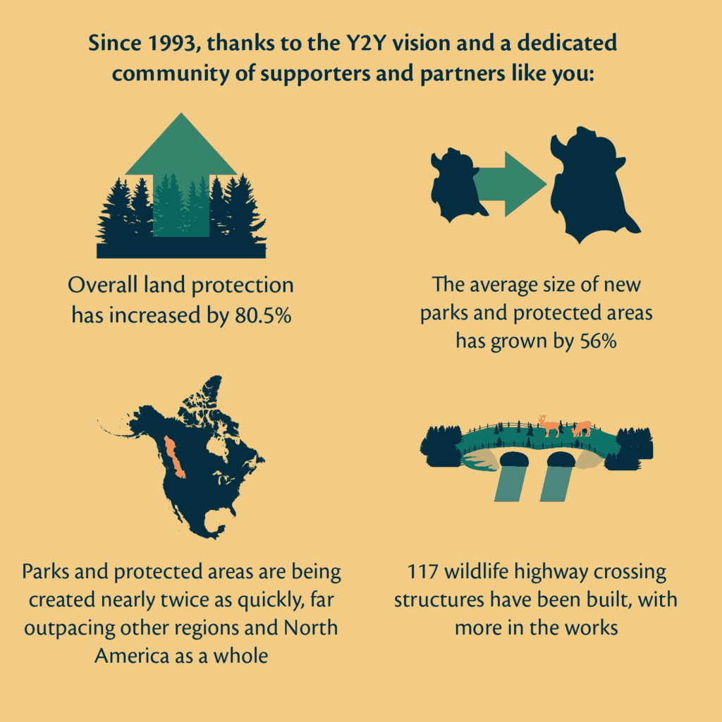 An infographic showing key successes from the first 25 years of the Y2Y vision in the Yellowstone to Yukon region