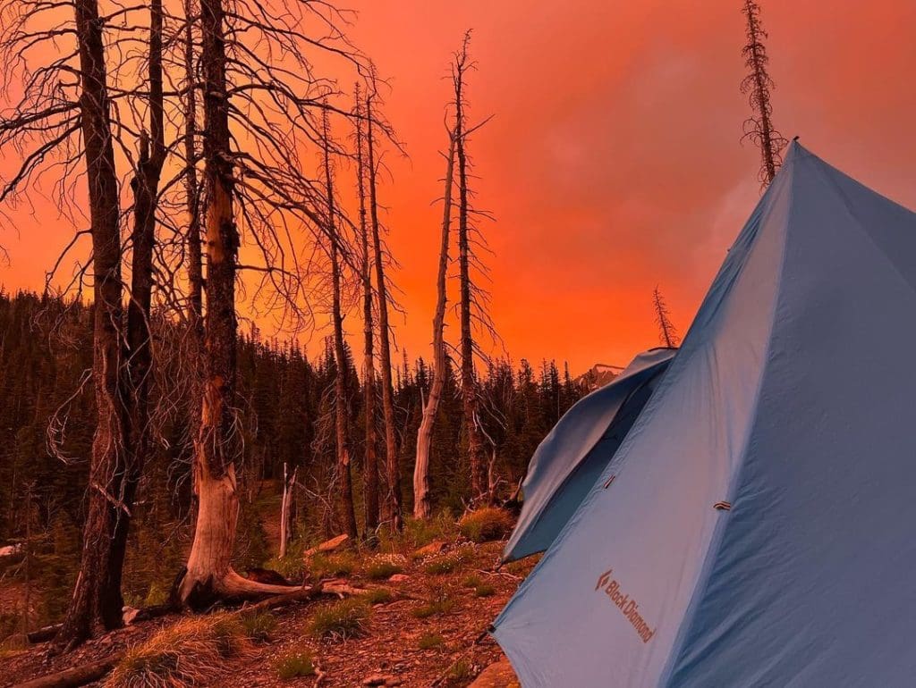 A bright orange-red sky hovers above a small blue tent. Trees that have lost their leaves add a spooky feel