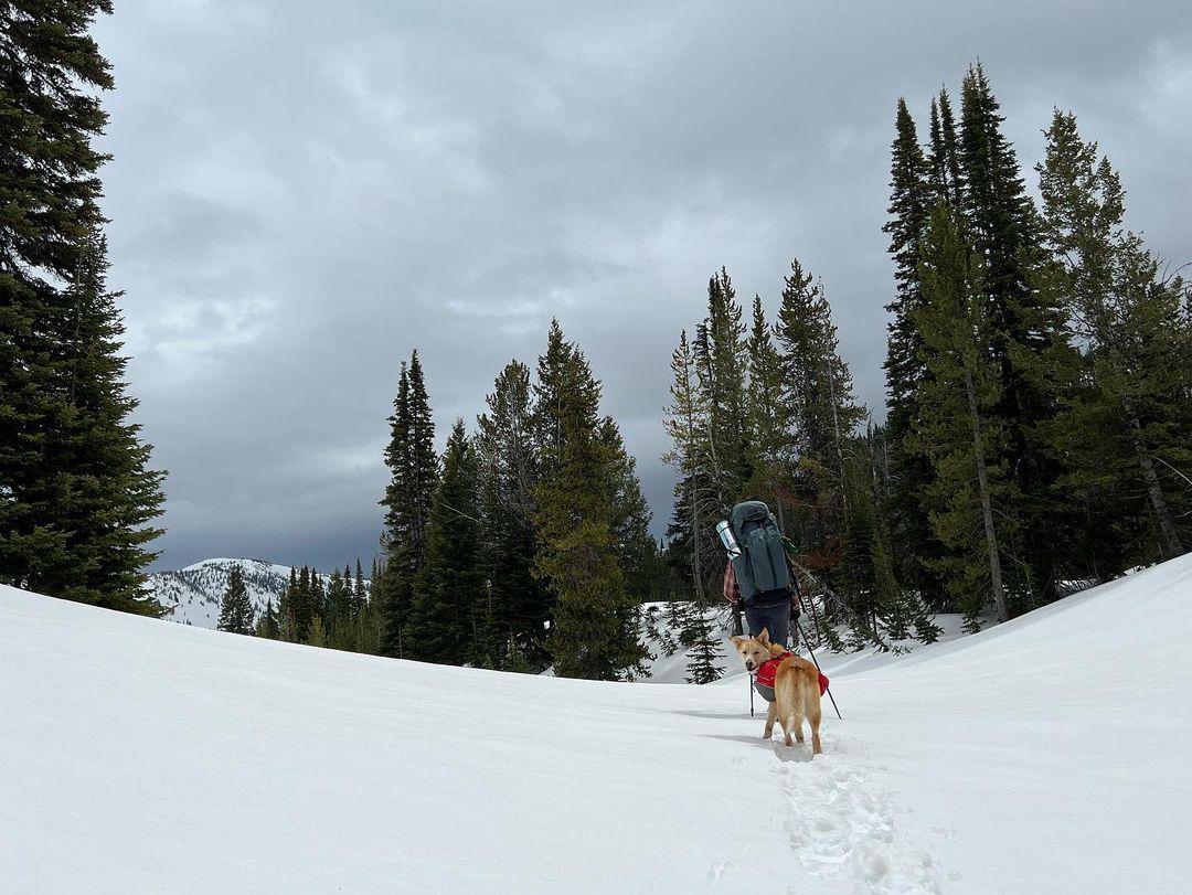 Crossing the Yellowstone to Yukon region as a dynamic duo - Yellowstone ...