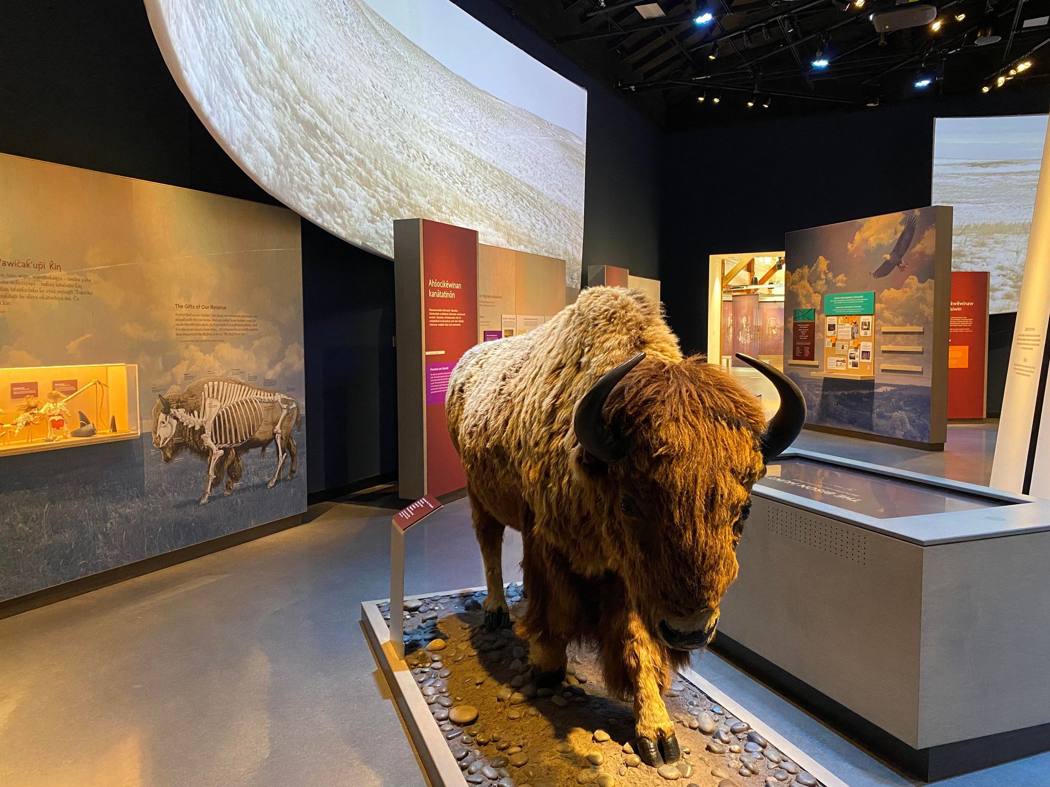 American Buffalo: Spirit of a Nation, About, Nature