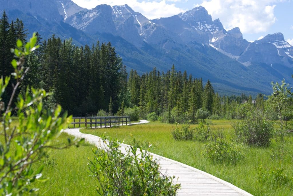 A boardwalk crosses a meadow in the Bow Valley