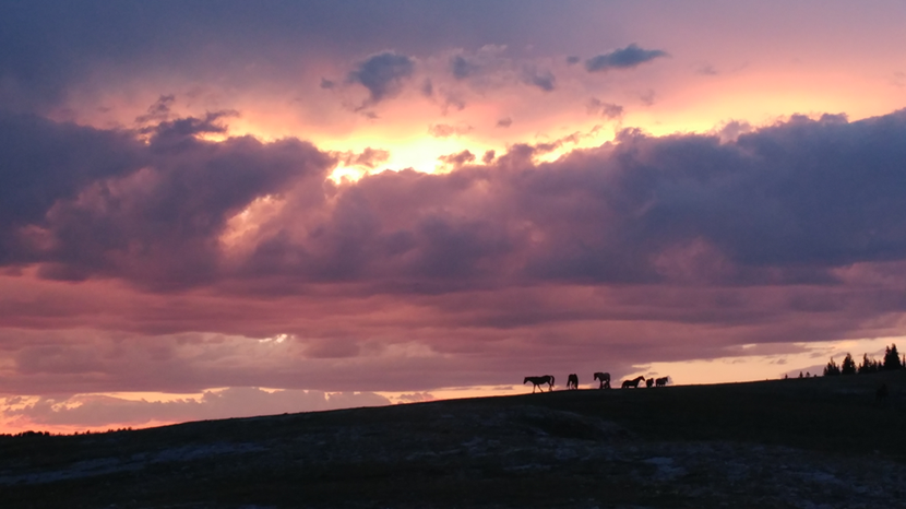 A purple sunset over a ridgeline silhouette