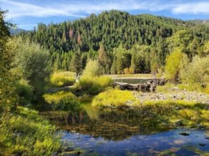 Clark Fork habitat protection