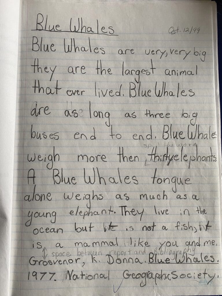 A student's essay about blue whales