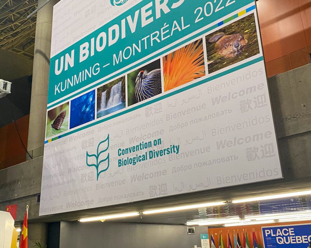 An image of COP15 proceedings in Montreal in December 2022