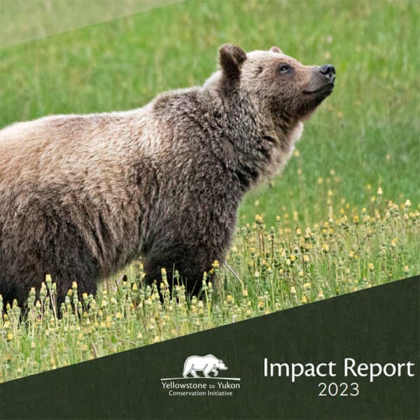 Y2Y 2023 Impact Report cover