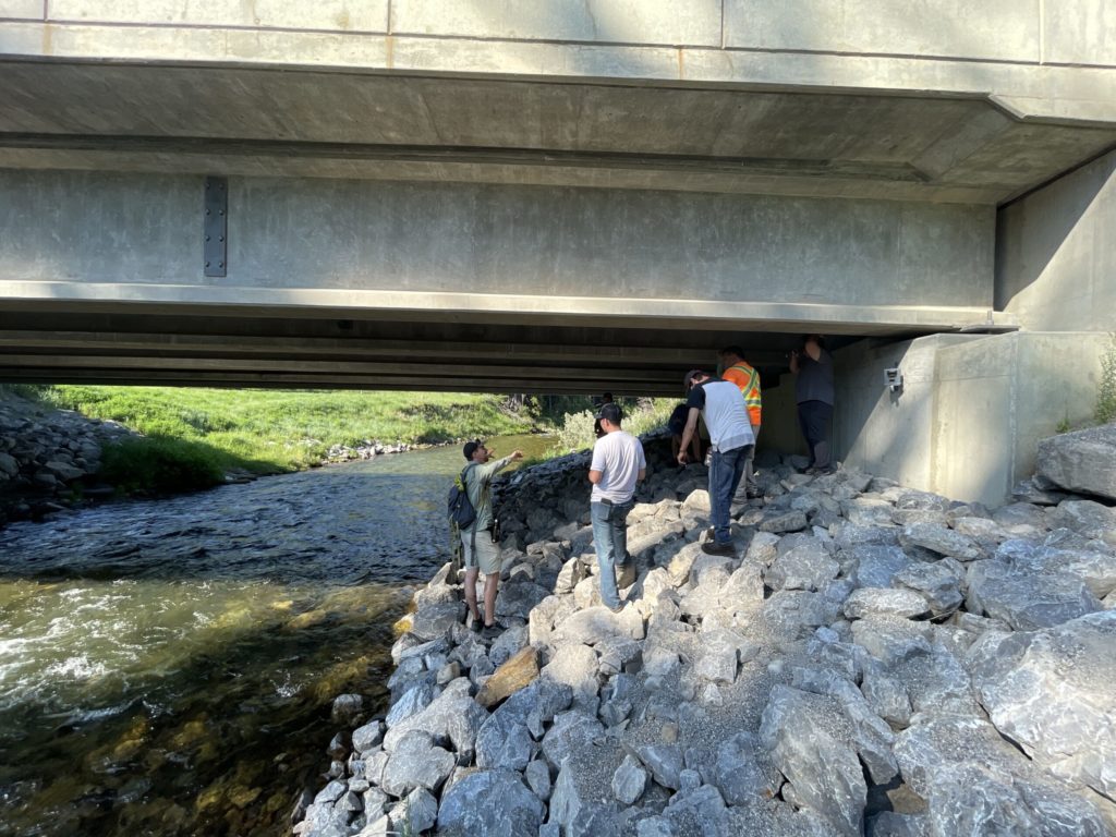 A bridge on Highway 3 retrofitted to be a wildlife underpass