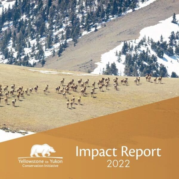 Y2Y 2022 Impact Report cover