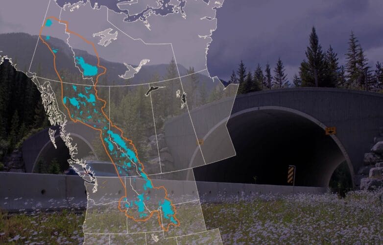 Communities & Conservation - Yellowstone to Yukon Conservation Initiative