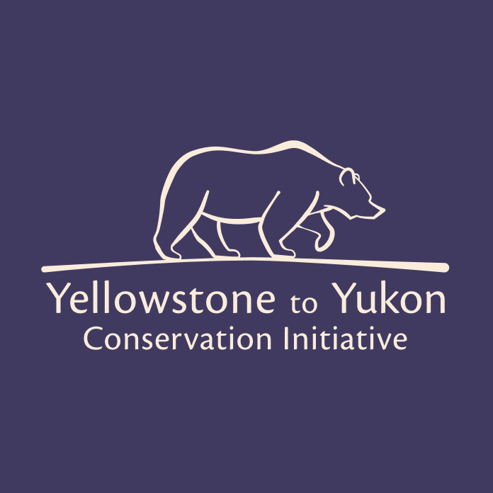 Yellowstone to Yukon Conservation Initiative Foundation logo