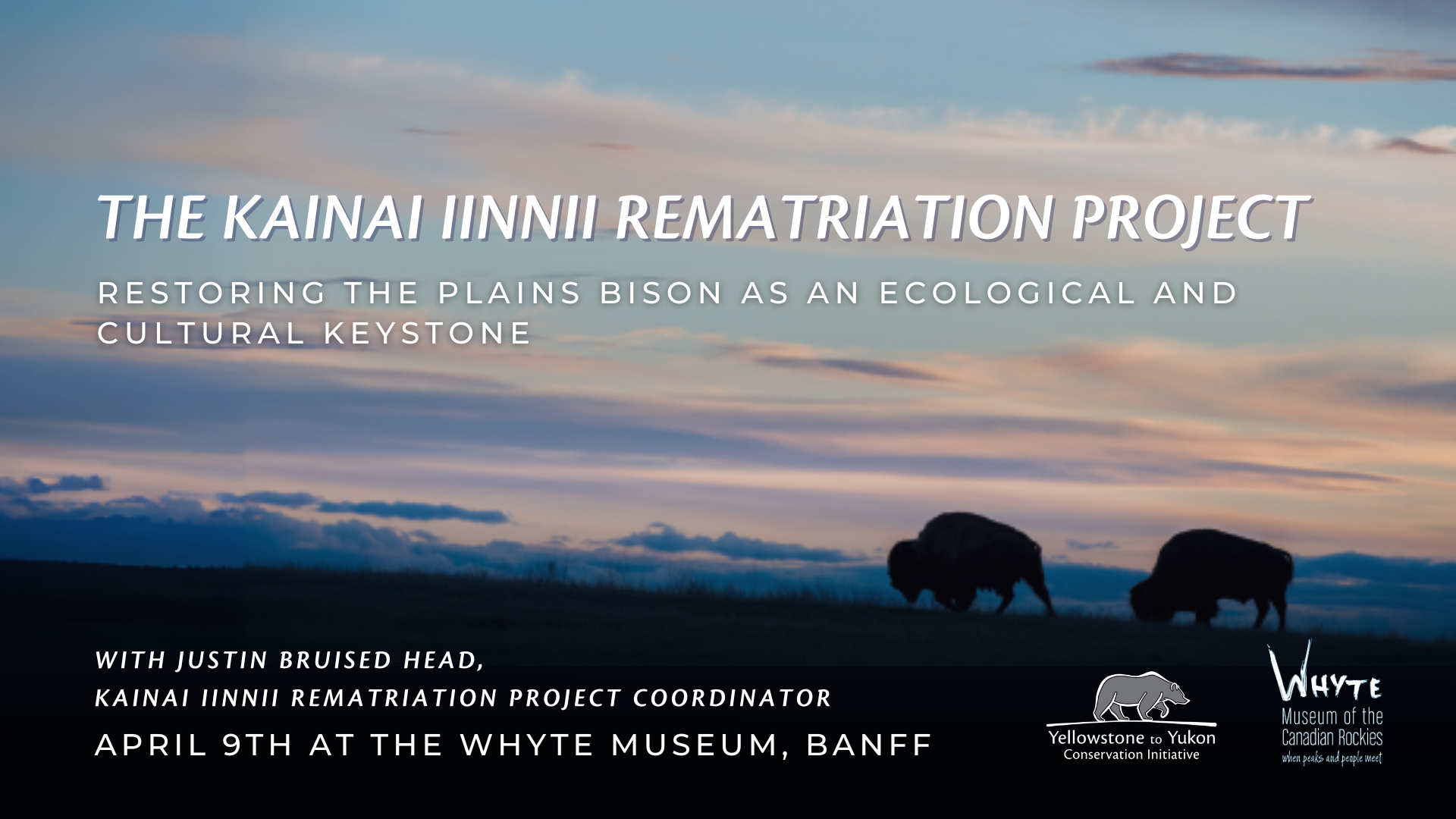 Y2Y + Whyte Museum speaker series: The Kainai Iinnii Rematriation Project