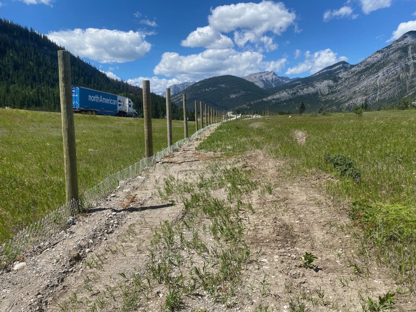 Wildlife fencing near Canmore's wildlife overpass
