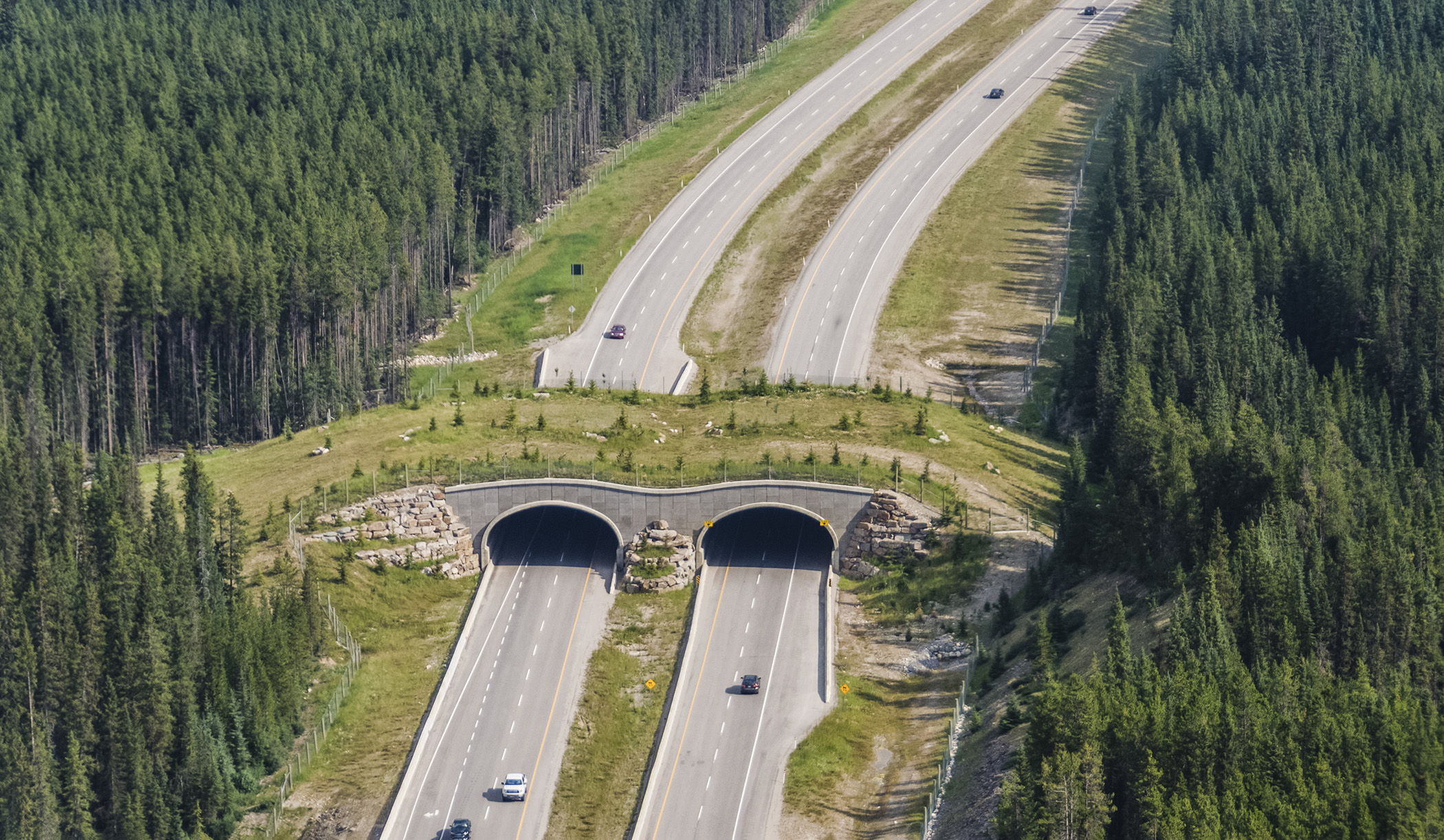 A wildlife overpass bridges Highway 1 in Banff National Park