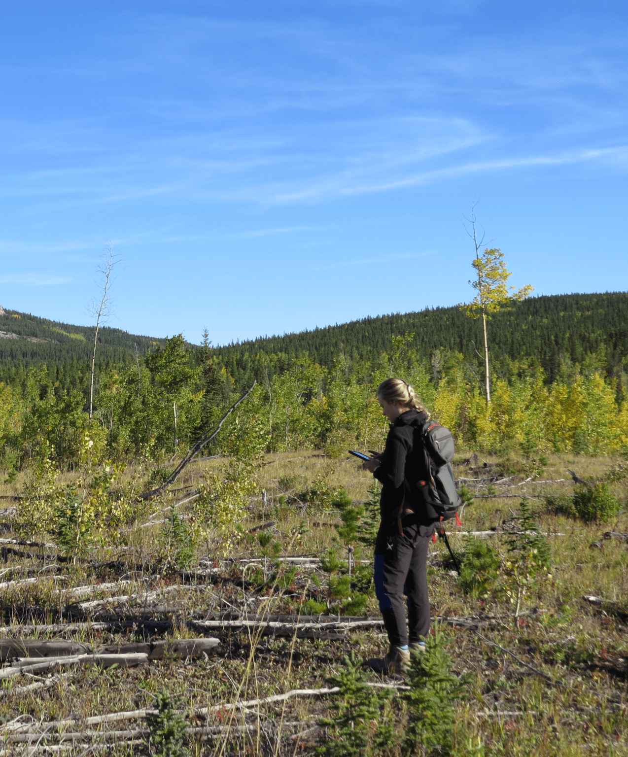 Responsible recreation in wildlife habitats - Yellowstone to Yukon ...