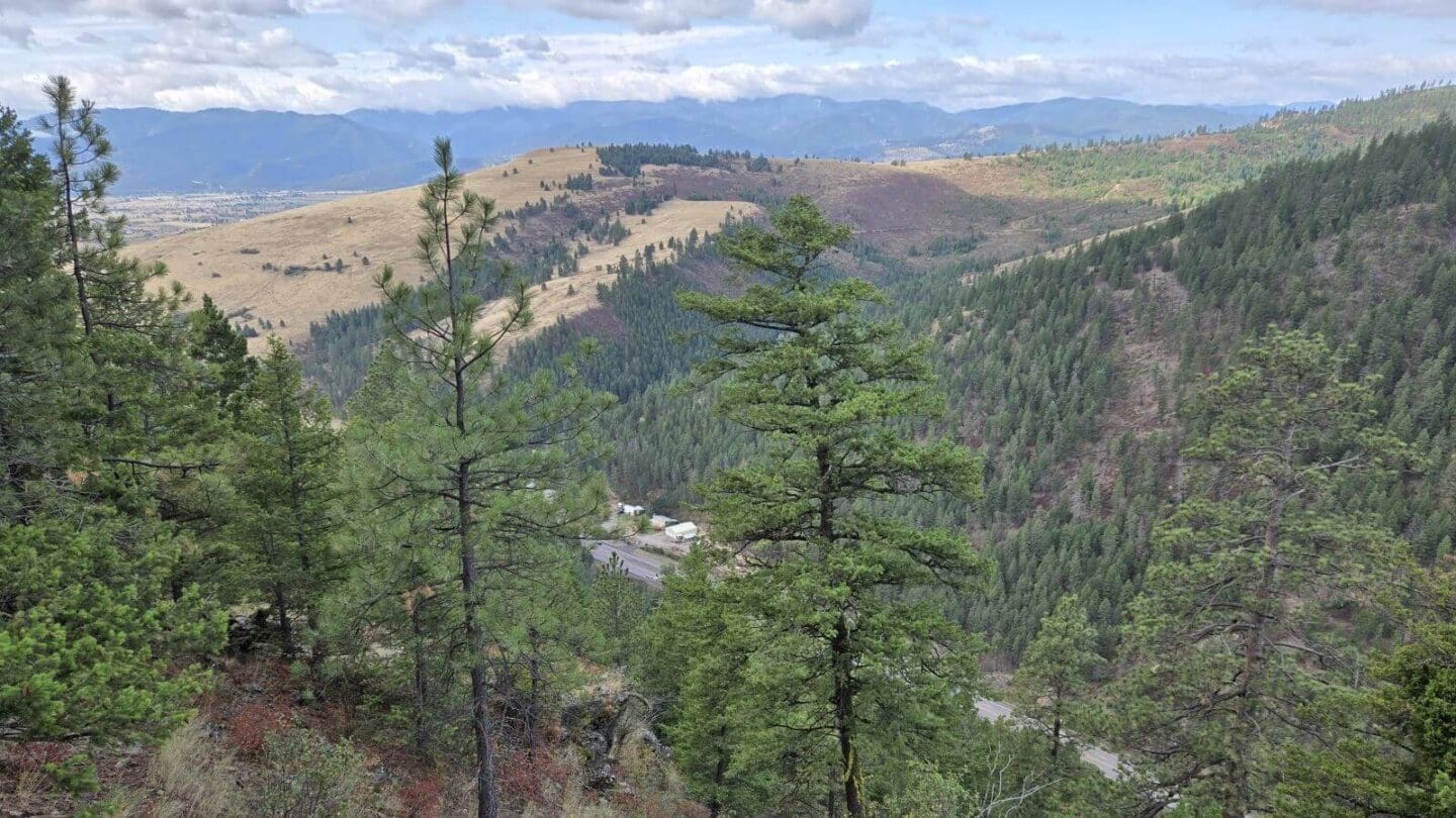 A tree filled view of Evaro Canyon in western Montana