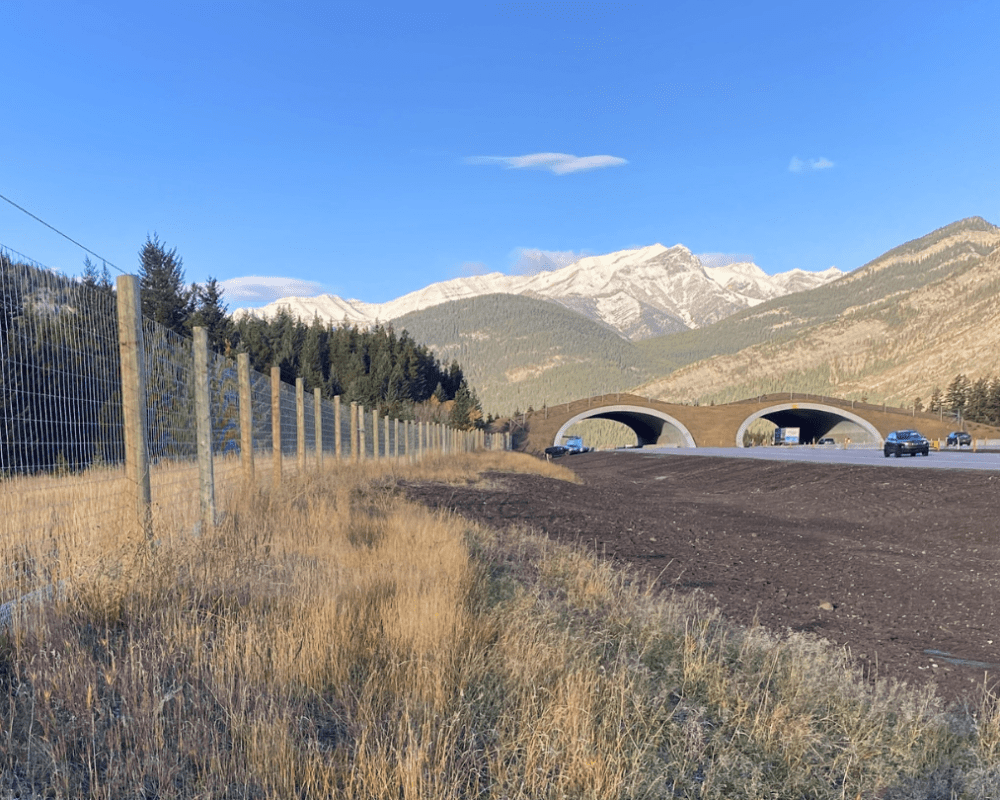 Bow Valley Gap wildlife overpass under construction in Alberta in October 2024