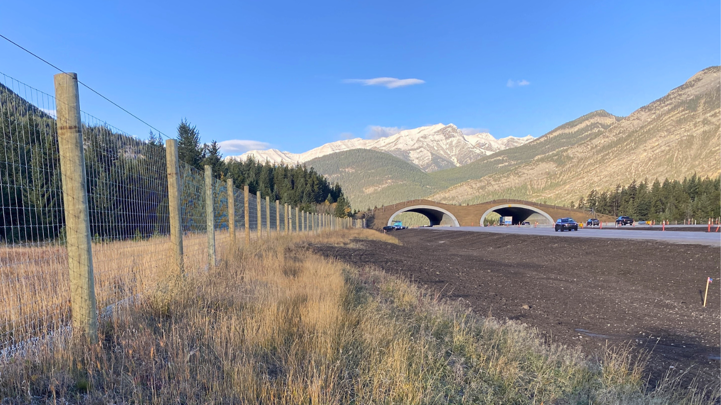 Bow Valley Gap wildlife overpass under construction in Alberta in October 2024