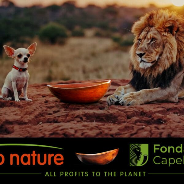 Y2Y and Fondazione Capellino