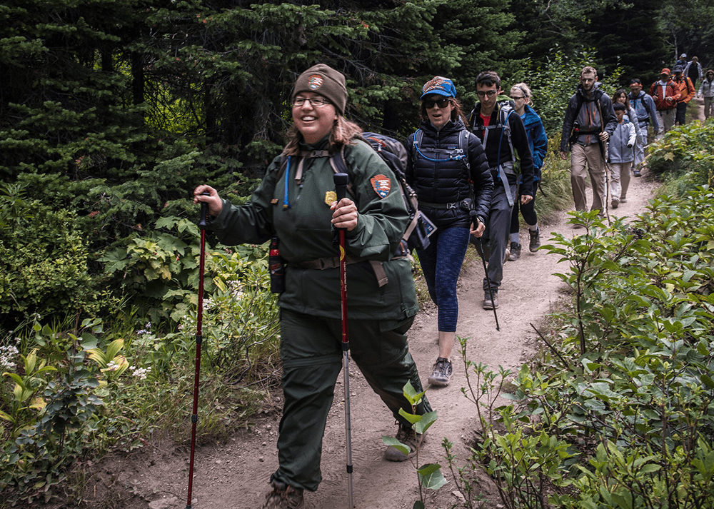 Park ranger leading hikers through a forest walk in Montana