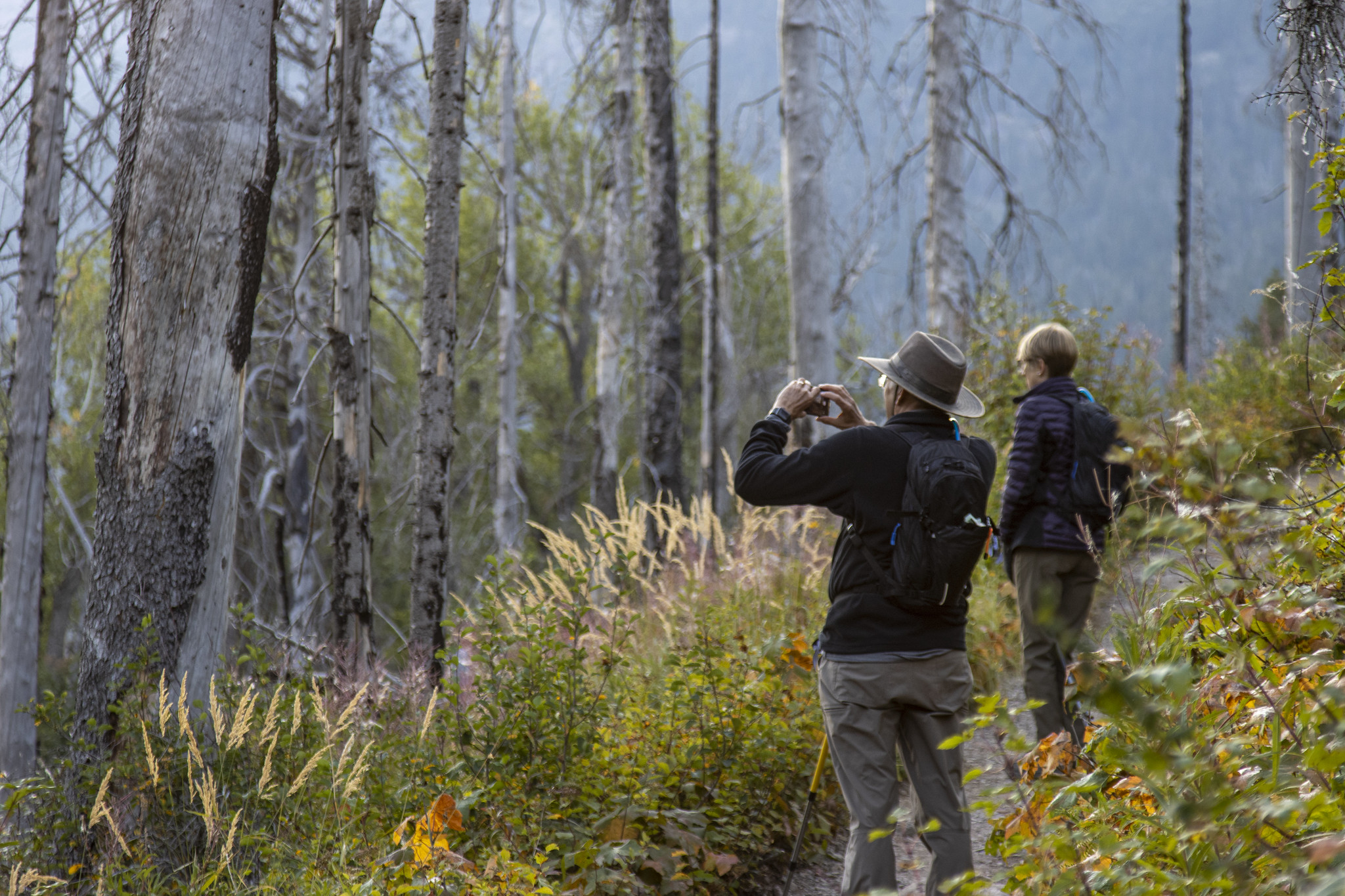 Hikers in Glacier National Park