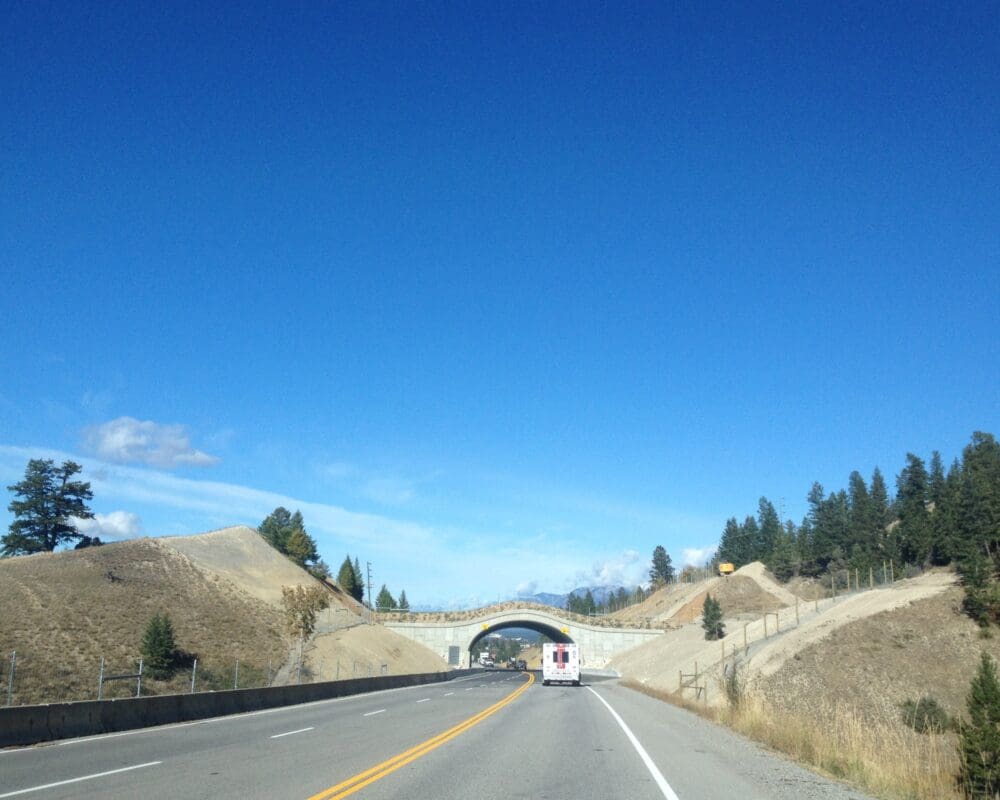 A wildlife overpass stretches across the highway between tow hills.