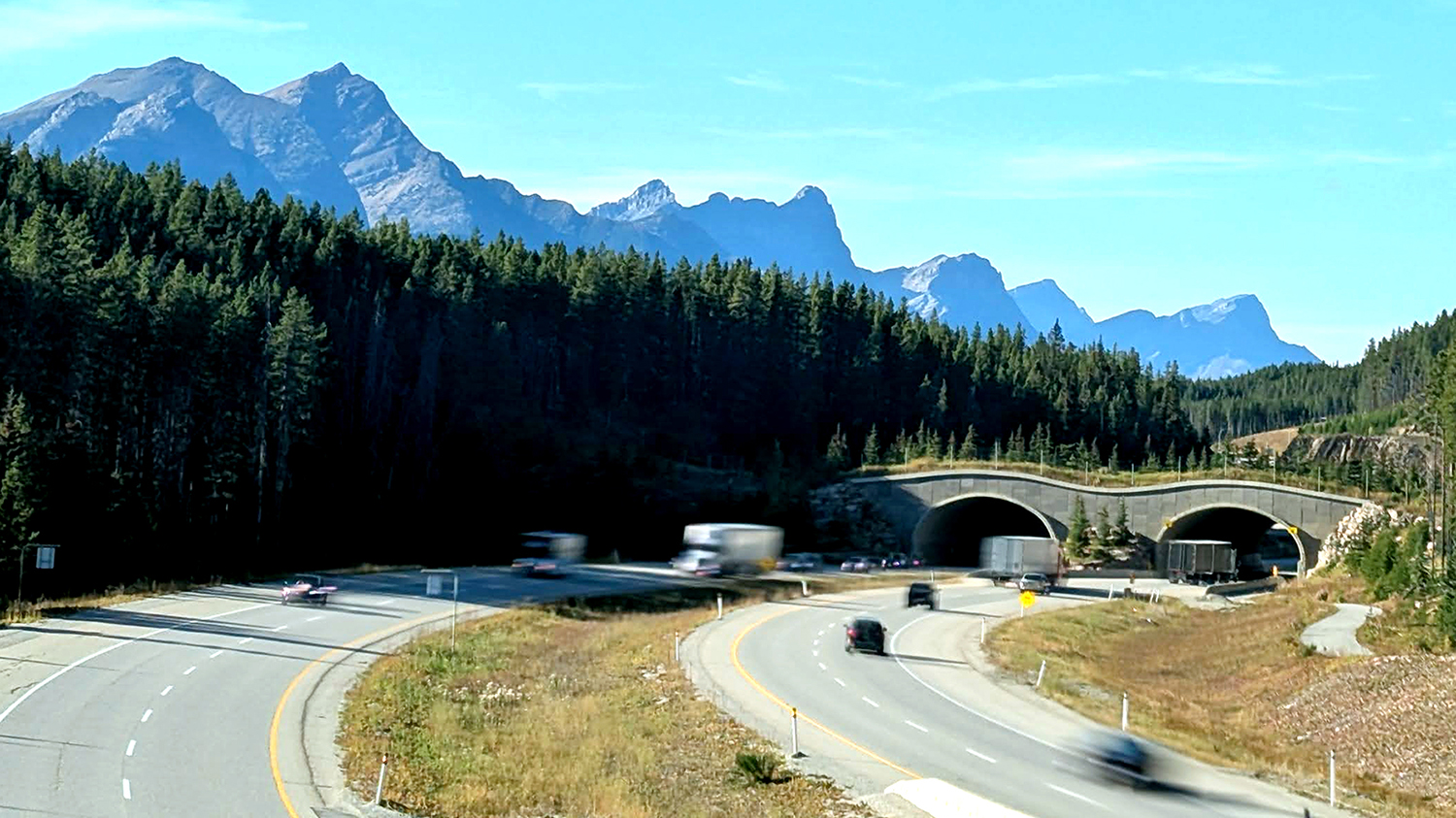 A view of the Trans-Canada Highway through Banff National Park. This is one of the wildlife crossings running over the busy road. Mountains are in the background