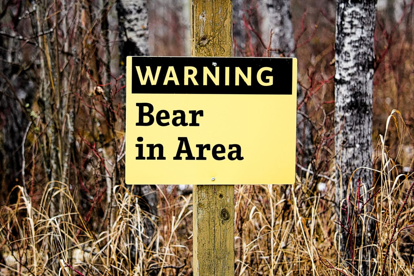 A yellow and black sign reads "warning bear in area"