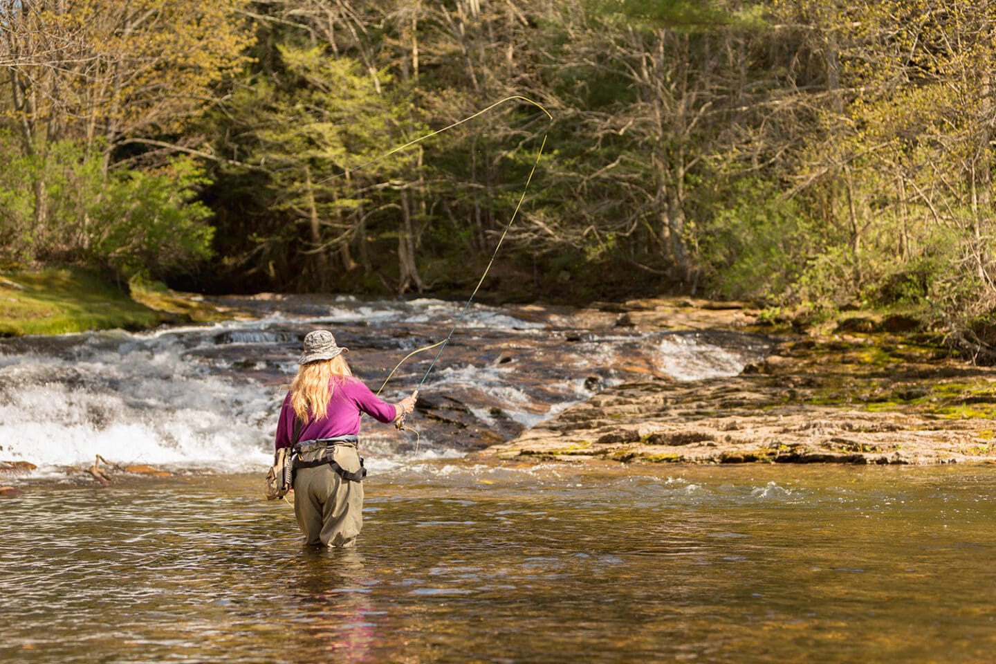 An angler with a grey hat, long blond hair, a purple shirt, and beige waders stands in a river that comes up to the angler's knees. They are facing away from the camera, and casting a fishing line into the water. The river has small rapids upstream, and is surrounded by trees. 