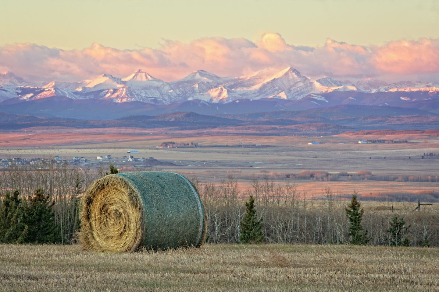 A large hay bale sits surrounded by short grass. In the distance, the landscape transitions from rolling foothills to snow-covered mountains. 