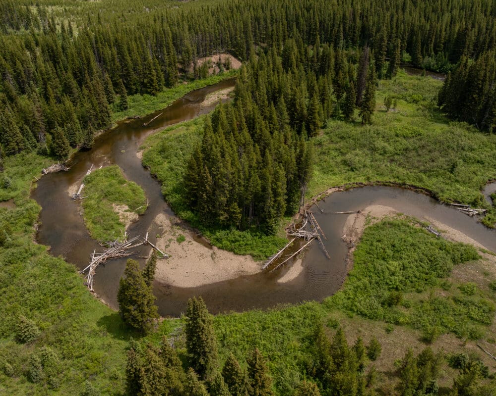 Aerial shot of river and forest.