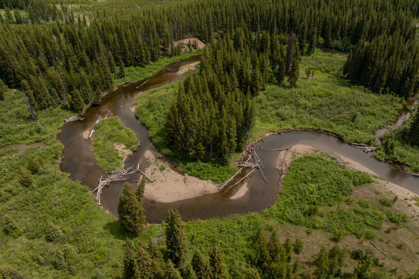 Aerial shot of river and forest.