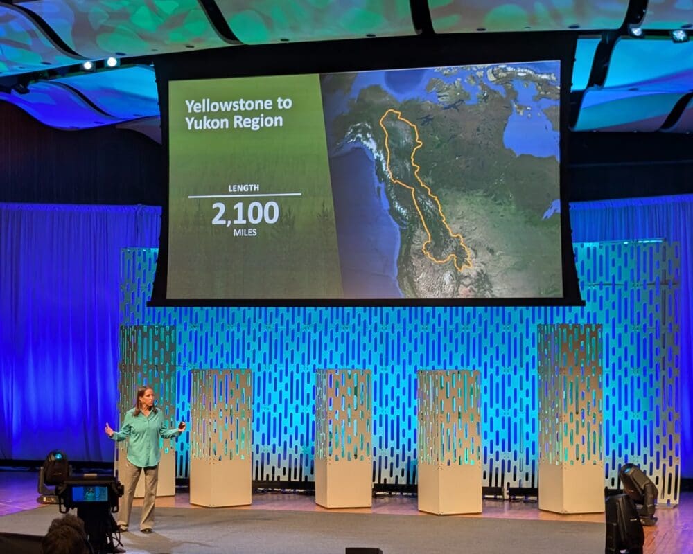 Y2Y's Dr. Jodi Hilty stands on a stage presenting at TedXBoston