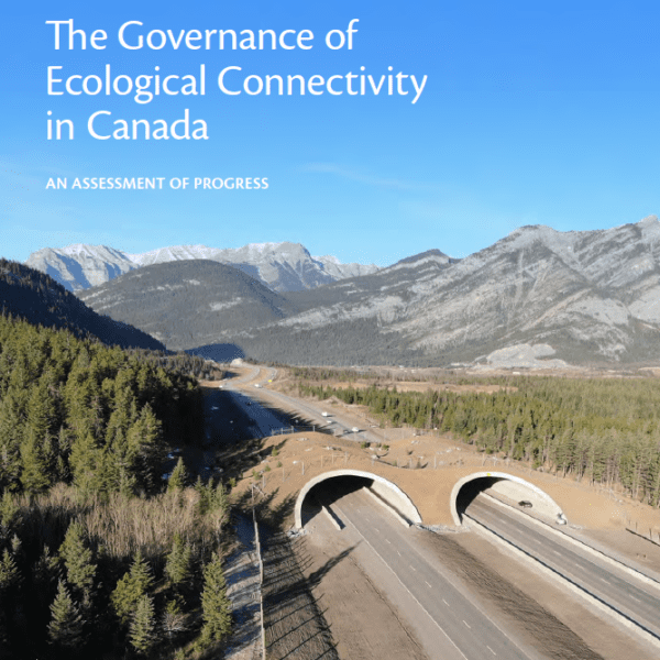 Report: Governance of Ecological Connectivity in Canada (2026)