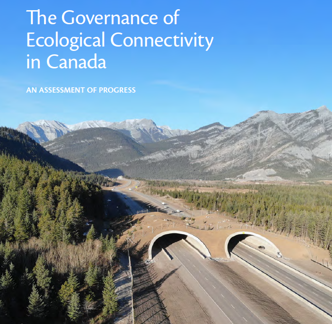 Report: Governance of Ecological Connectivity in Canada (2026)