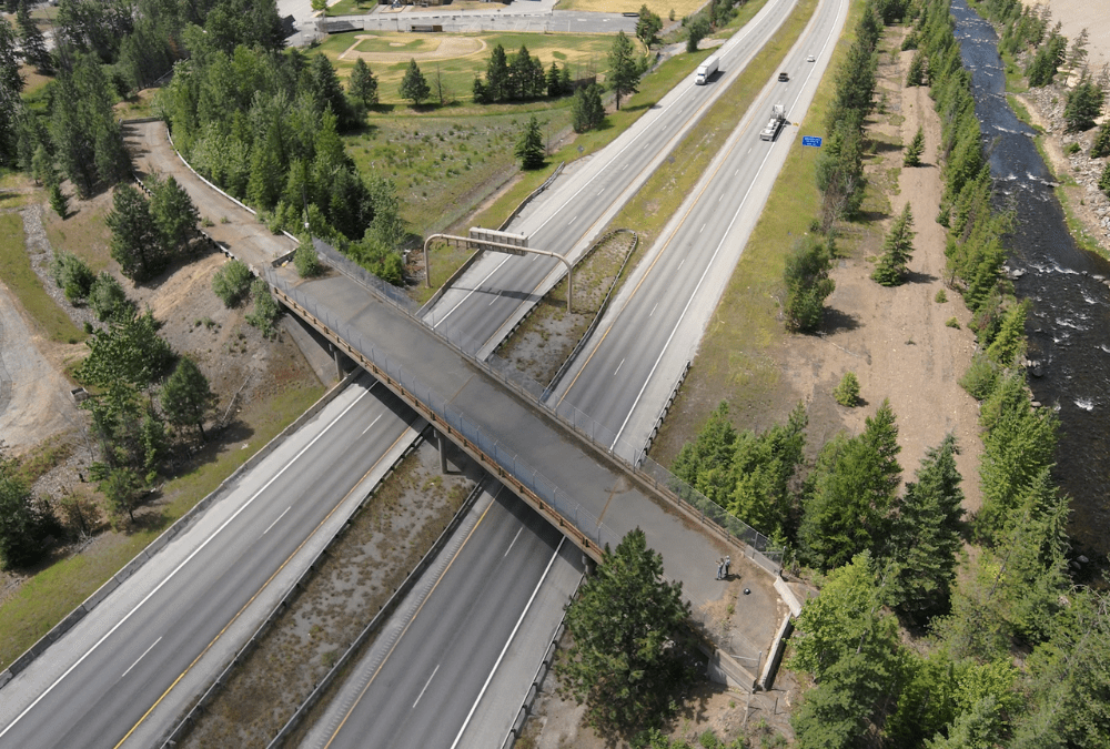 A wildlife overpass stretches over a two-way highway.