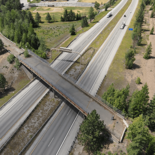 A wildlife overpass stretches over a two-way highway.