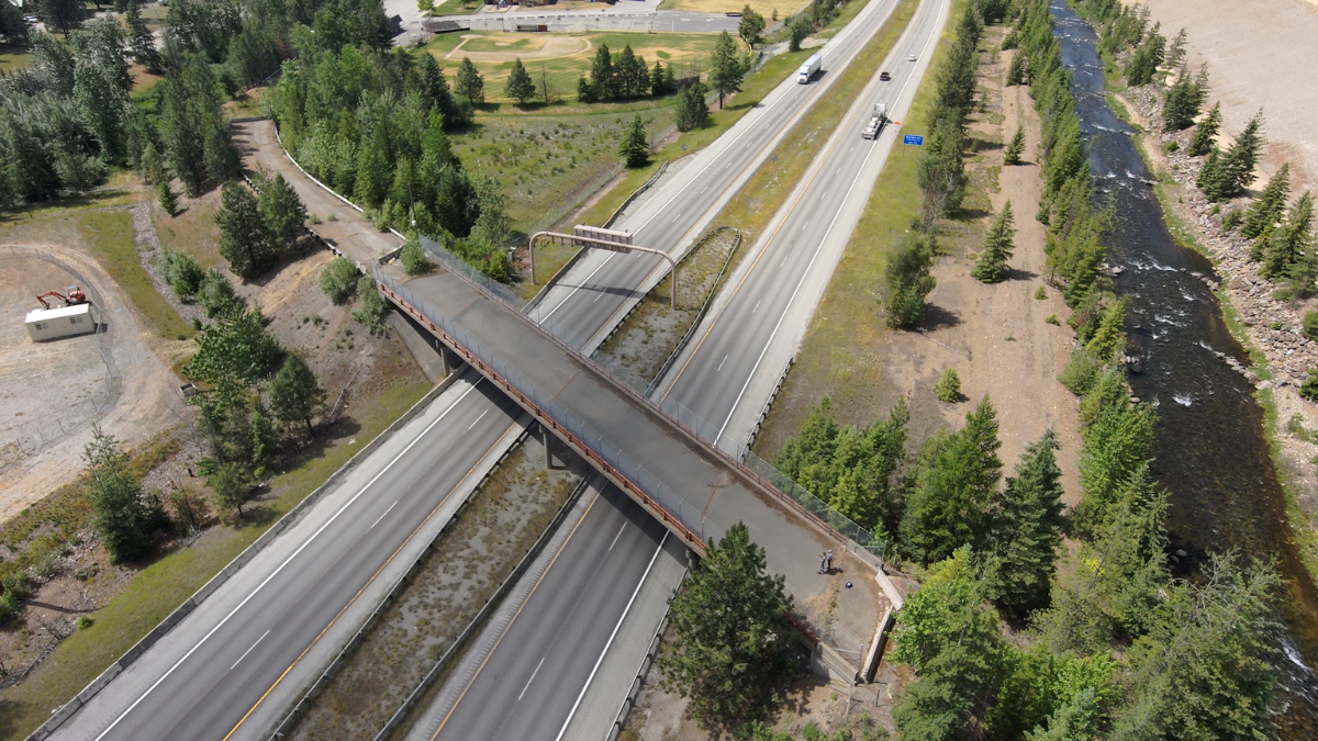 A wildlife overpass stretches over a two-way highway.